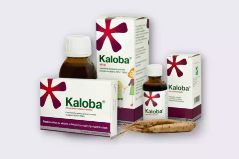 kaloba
